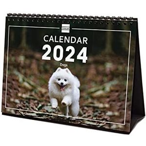 Finocam, 2024 muurkalender met afbeeldingen, voor kantoor, januari 2024-december 2024 (12 maanden), internationaal, honden