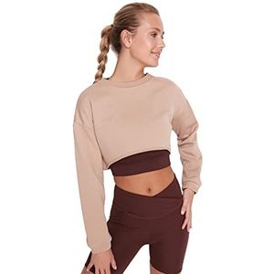 TRENDYOL Dames Slim Standaard Ronde Hals Gebreid Sweatshirt, Grège, XS, Griekenland.