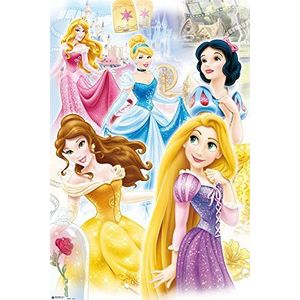 Disney prinsessen prinsessen poster - grootte 61 x 91,5 cm