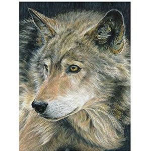 Pracht Creatives Hobby 4677-30011 Schilderen op nummer Wolf Potloden
