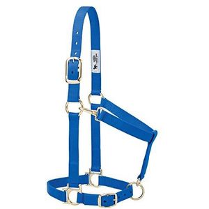 Weaver Leather Halster Basic verstelbaar nylon blauw klein paard 2,5 cm