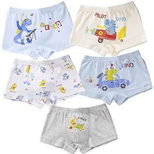 Little Hand Jongensondergoed, ondergoed, voor kinderen, boxershorts, dinosaurus-2, 4-5 jaar, Dinosaurus-2