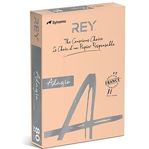 REY® Adagio papier, Chamo-kleuren, 80 g, A4, PEFC™, 500 vellen