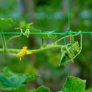 GARDENIX® Tuin- en broeikasnet met gaas (15 x 17 cm), voor de groei van tomaten, komkommers en klimplanten, en 100 plantenclips (groen + 100 clips, 2 m x 10 m)