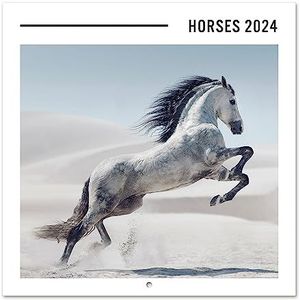 Grupo Erik - Wandkalender 2023 2024 paarden | Maandkalender van september 2023 tot december 2024 | 30 x 60 cm, FSC-gecertificeerd, in het Frans