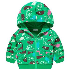 Little Hand Jongens Hoodie Sweatshirt met capuchon voor jongens, 1-dinosaurus