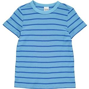 Fred's World by Green Cotton Alfa Stripe S/S T jongens T-shirt Bunny Blue, 140, Bunny Blue