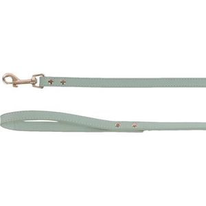 Nela Hondenriem Mintgroen 1,3m 15mm