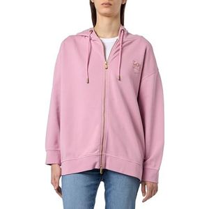 Pinko Gremito Veste Sweat Snow Wash Logo Brodé Capuche Femme, N98_Fumée orchidée, XL