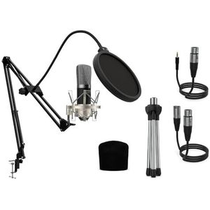 Audibax Berlin Silver Pro Condesandor Studio 1800 microfoon met popstandaard en kabels, frequentiebereik 20 Hz/20 kHz, microfoon, cardioïde fleece, zilverkleurig