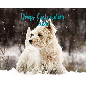 Collins kalender voor 2020 honden