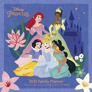 Disney princess 2025 familieplanner 30 x 30 cm pyramid
