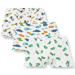 EULLA Boxer Briefs pour Enfants, Dinosaure et voiture, 6-7 ans