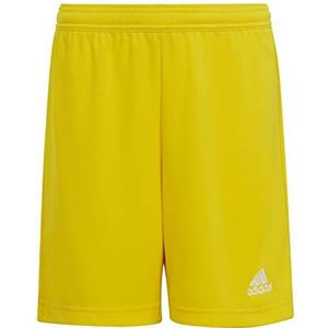 adidas Ent22 Sho Y Uniseks shorts