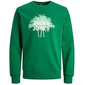 JACK & JONES Jcosalty FST sweatshirt voor heren met ronde hals, groengroen, L, Groen