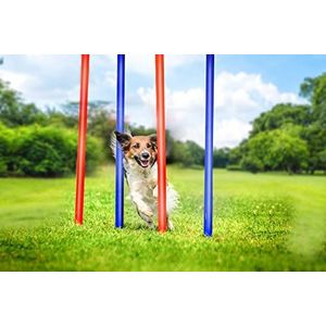 maxxpro Agility Slalom behendigheidsset voor honden, 60 x 3 cm, kunststof, blauw/rood