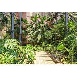 Scenolia Wandtapijt voor tropische tuin, vegetatie, Barcelona, 4 x 2,70 m, wanddecoratie, Trompe l'Oeil effect, panoramische bekleding, wandtapijt, poster, eenvoudige installatie en HD-kwaliteit