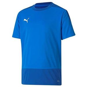 PUMA Teamgoal 23 Jersey Jr T-shirt voor jongens, Elektrisch Blue Lemonade-team Power Blue