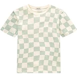 TOM TAILOR T-shirt voor jongens, 31404 - Vintage Mint Checkerboard Aop