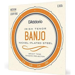 D'Addario EJ63I Banjo snaren