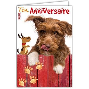 Kaart voor verjaardag, hond, puppy, schattig, bruin, rood, poot afdruk, gemaakt in Frankrijk