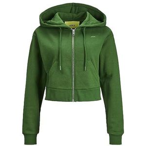 JACK & JONES Jxabbie Reg Ls Every Zip Hood Swt Noos Hoodie, Formal Garden/Print: groen Jjxx logo