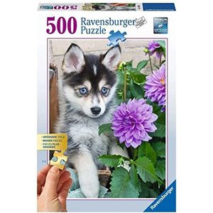 Schattige Husky Puzzel (500 stukjes, dieren thema)