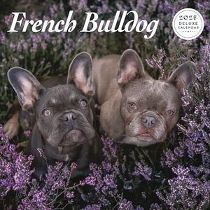 Comprare Calendario Bulldog Francese 2026 | Ordina facilmente online Comprare Calendario Bulldog Francese 2026 | Ordina facilmente online