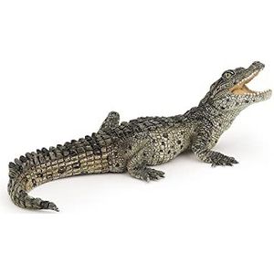 Papo - 50137 - Figuur - Dieren - Baby Krokodil