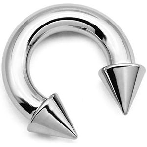 FECTAS PA Prins Albert Piercing Ring 2G-4G-6G-8G-10G-12G 12mm/16mm Chirurgisch Staal Piercing Sieraden Zwart Zilver, Roestvrij staal