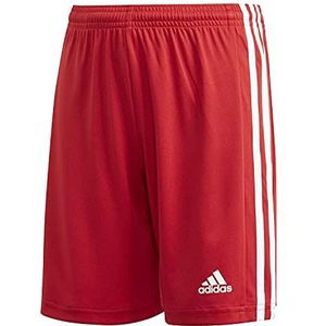 adidas shorts GN5761 Jongens