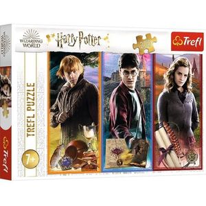 Clubs, puzzel, in de wereld van magie en hekserij, Harry Potter, 200 stukjes, voor kinderen vanaf 7 jaar