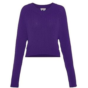 Libbi Women's Femme Maille côtelée avec col en V Polyester Violet Taille XL/XXL Pull Sweater, lilas, XL