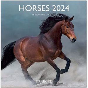 Drager Paris Grote wandkalender paarden 2024 om op te hangen, 29 x 29 cm, 16 maanden sept-23 tot december 24, 7 talen, kalender kantoor, huis, maandelijks | decoratie, organisatie |