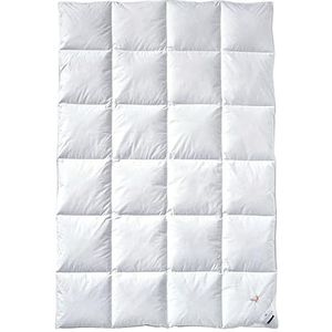 ZZZOO - Anti-Mite 4-seizoenen dekbed - 120 x 150 - Sterre Tijl