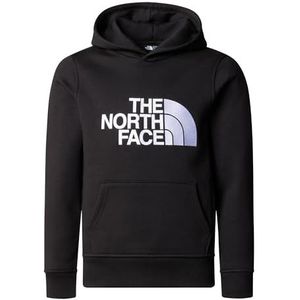 The North Face Drew Peak Hoodie voor kinderen en tieners
