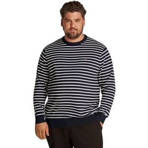 Tommy Hilfiger Bt-essential Mw0mw39106 ronde hals katoen trui heren, Blauw (woestijnhemel/ivoorkleurige bloembladen)