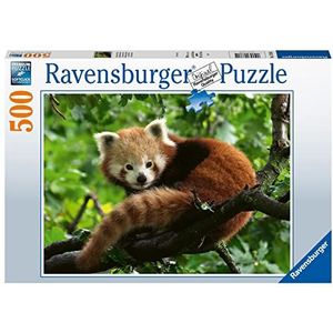 Schattige Rode Panda Puzzel (500 Stukjes)