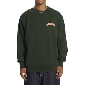 Dc Shoes Varsity Sweatshirt Groen Man
