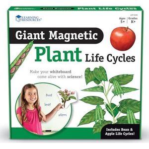 Learning Resources Levenscyclus van een plant in gigantische magneten