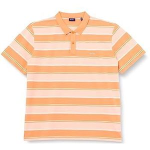 GANT Multi Stripe Ss Piqué Poloshirt voor heren, Abrikoos sinaasapp