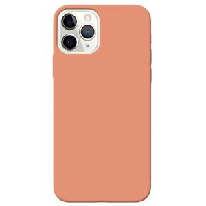 Fresnour Suitable for iPhone 11 Pro 5.8-inch Case, Bumper Cover, Transparent Scratch Resistant Back (Begonia Color)