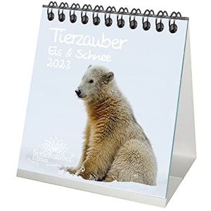 Tafelkalender voor dieren van de poolregio 2023 - 10 cm x 10 cm