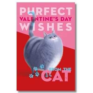 Secret Life of Pets Valentijnskaart - Valentijnsdag kaart kat