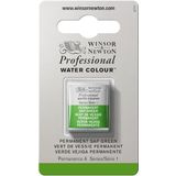 Winsor & Newton Professional Aquarelle Halve beker 503 groene bubble permanent serie 1