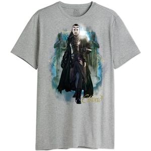 The Lord Of The Rings Melotrmts016 T-shirt voor heren, 1 stuk, Grijs Chinees