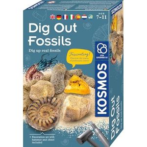 Fossilien - INT: Experimentierkasten