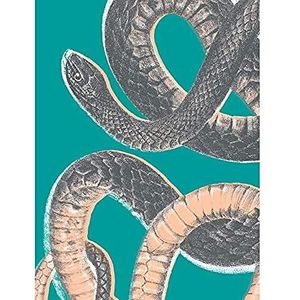 Moderne kunstdruk zonder lijst, slank design, biologische veelzijdigheid, 30,5 x 40,6 cm