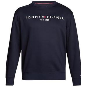 Tommy Hilfiger Sweat-shirt pour homme, Bleu (Desert Sky), 3XL