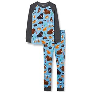 Hatley Organic Cotton Raglan Sleeve Bedrukte pyjama Set Pijama Jongens, Ice Age